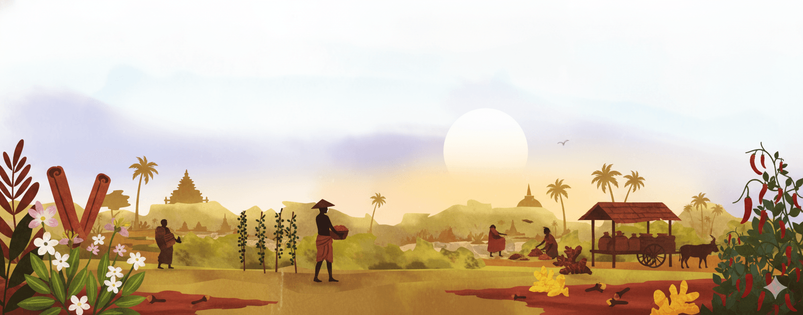 An illustration of a Sri Lankan spice harvest scene